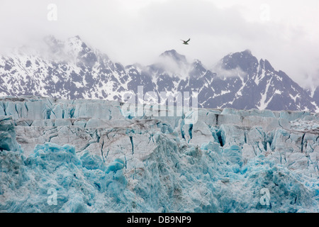 Ein Gletscher im nördlichen Svalbard Kalben Eis ins Meer. Alle Svalbards Gletscher schwinden, Stockfoto