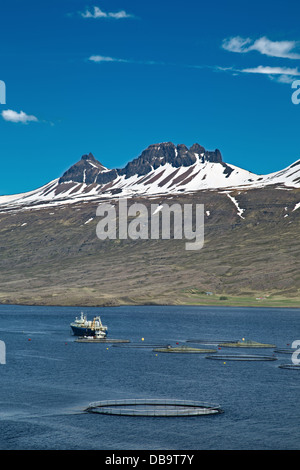 Aquakultur, Lachs Fisch Farm in einer isländischen Fjord mit auf der Rückseite die Berge mit Schnee. Stockfoto