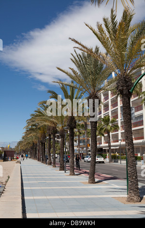 Palmengesäumten Promenade von Salou Spanien Stockfoto