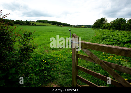 Tor auf dem Herefordshire Trail im goldenen Tal passieren Poston Court Farm Stockfoto