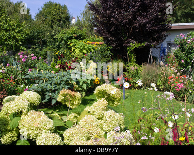 Schrebergarten im Spätsommer Stockfoto