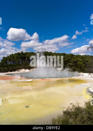 dh Wai O Tapu Thermal Wonderland WAIOTAPU ROTORUA NEUSEELAND NZ Dampf Geothermie Champagner Pool Künstler Palette heißen Frühling gelb Schwefel Stockfoto