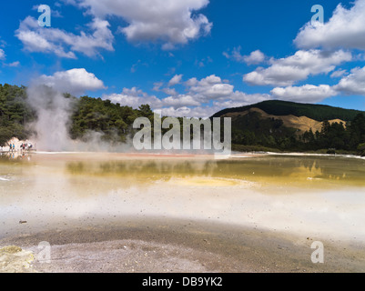 dh Wai O Tapu Thermal Wonderland WAIOTAPU NEW ZEALAND Künstler Palette Dampf steigt geothermisch Champagner See Pool rotorua Schwefelquellen Stockfoto