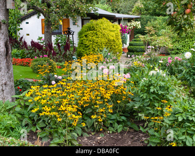 Kegel Blumen (RUDBECKIA) und Dahlien (Dahlia) Stockfoto