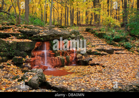 Eine natürliche Quelle mit Steintreppe und Pfad durch den Wald im Herbst, Glen Helen Naturschutzgebiet; Yellow Springs, Ohio, USA Stockfoto