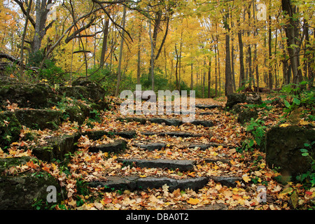 Eine Steintreppe und Pfad durch einen Wald In den Farben des Herbstes, Glen Helen Naturschutzgebiet; Yellow Springs, Ohio, USA Stockfoto