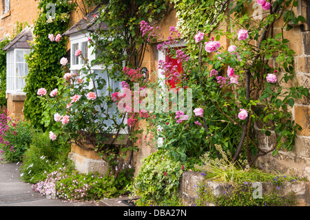 Bunte Rosen und Sommerblumen wachsen um ein Steinhaus im Dorf Blockley, Gloucestershire, England Stockfoto