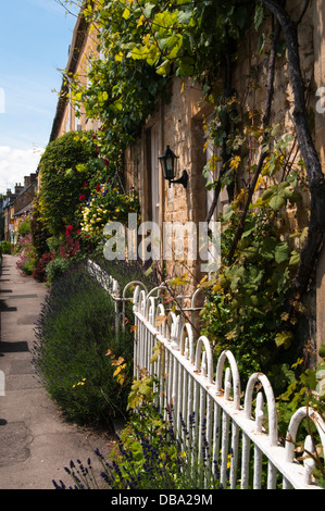 Eine Reihe von Steinhütten mit Lavendel, Rosen und Sommer Blumen in der Cotswold-Dorf Blockley, Gloucestershire, England Stockfoto