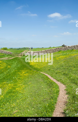 Schmale, gewundene Strecke des Cotswold Way auf dem Broadway Hill mit zwei Wanderern an einem Sommertag, Cotswolds, Worcestershire, England Stockfoto