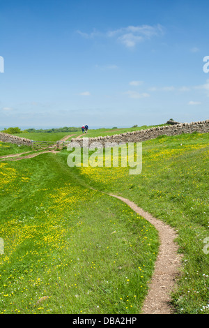 Enge, gewundene Strecke der Cotswold Way National trail auf Broadway Hügel mit zwei Wanderer in der Ferne, Cotswolds, Worcestershire, England Stockfoto