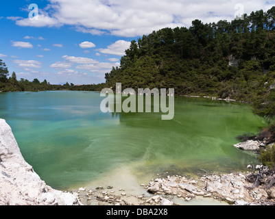 Dh Wai-O-Tapu Thermal Wonderland WAIOTAPU NEUSEELAND Grüne See Ngakoro Schwefel Wasser nz Stockfoto