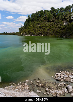 Dh Wai-O-Tapu Thermal Wonderland WAIOTAPU NEUSEELAND Grüne See Ngakoro Schwefel Wasser nz Stockfoto