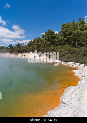 dh Wai O Tapu Thermal Wonderland WAIOTAPU NEUSEELAND Tourist Fußweg Champagne Pool Dampf Geothermie Wasser Lava Kruste Teich rotorua Stockfoto