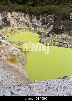 dh Wai O Tapu Thermal Wonderland WAIOTAPU NEUSEELAND Olive Grünes Schwefelwasser Devils Cave Pool Quellen Schwefelsee rotorua Stockfoto