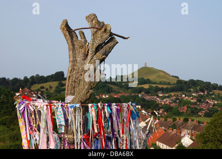 Reste der belästigten Holy Thorn Tree auf dem Wearyall Hill, Somerset. England-Großbritannien Stockfoto