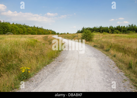 Wanderweg durch kühne Waldpark, Sutton Manor Zeche, St Helens, Merseyside, England Stockfoto