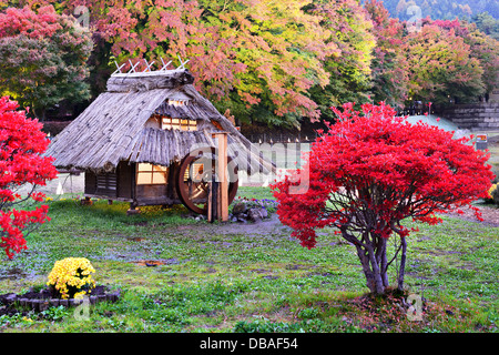 Hütten und Herbstlaub in Kawaguchi, Japan. Stockfoto