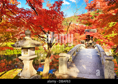 Herbstfarben im Eikando Tempel in Kyoto, Japan. 11/19 Stockfoto