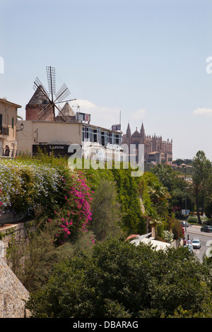 Windmühle in der Stadt von Palma auf der Baleareninsel Mallorca Stockfoto