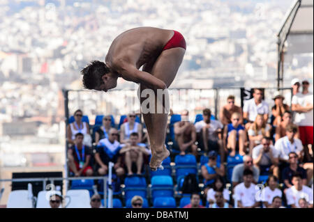 Barcelona, Spanien. 26. Juli 2013: Ukraine Illya Kvasha konkurriert in der Männer 3-Meter-Sprungbrett Finale bei den 15. FINA Weltmeisterschaften in Barcelona. Bildnachweis: Matthi/Alamy Live-Nachrichten Stockfoto