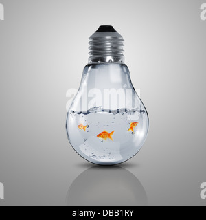 Goldfisch im Inneren eine Glühbirne Stockfoto