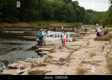 Aysgarth fällt im Sommer Stockfoto