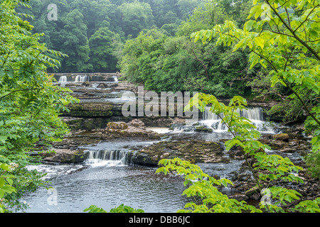 Aysgarth Falls Yorkshire Dales Stockfoto