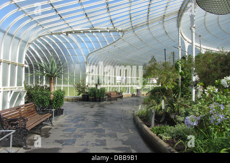 Kibble Palace, botanischen Gärten, Glasgow Stockfoto