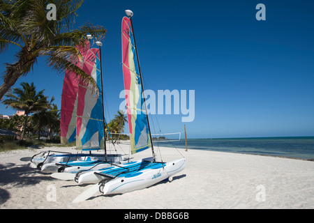 HOBIE CAT VERMIETUNG SEGELBOOTE SMATHERS BEACH KEY WEST FLORIDA USA Stockfoto