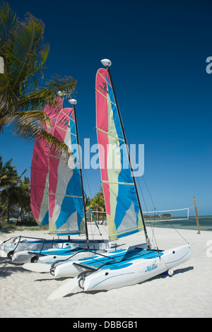 HOBIE CAT VERMIETUNG SEGELBOOTE SMATHERS BEACH KEY WEST FLORIDA USA Stockfoto