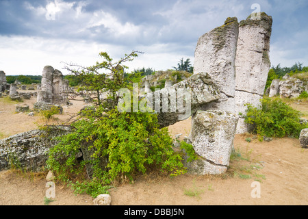 Phänomen Felsformationen in Bulgarien um Beloslav - eingeschagenen kaman Stockfoto