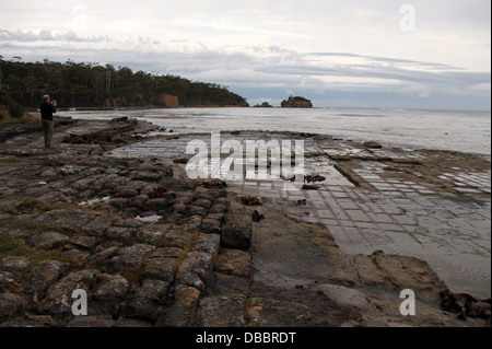 Tessellierte Pflaster bei Eaglehawk Neck in Tasmanien Stockfoto