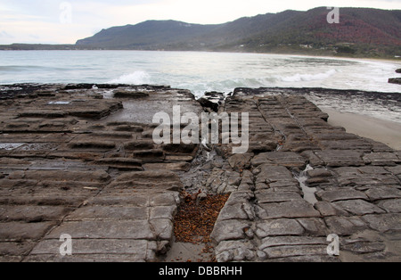 Tessellierte Pflaster bei Eaglehawk Neck in Tasmanien Stockfoto