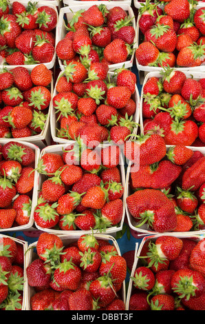 frische Erdbeeren in Körbe zum Verkauf an einen Bauernmarkt Stockfoto