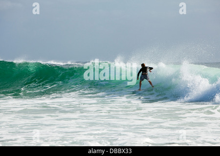 Surfer auf einer Welle. Burleigh Heads, Gold Coast, Queensland, Australien Stockfoto