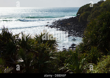 Blick durch Laub, Surfer ins Meer. Burleigh Heads, Gold Coast, Queensland, Australien Stockfoto