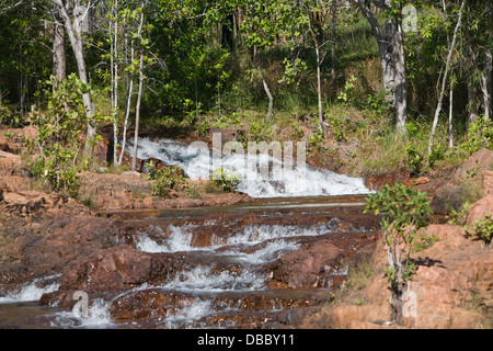 Buley Rock Löcher in Litchfield Nationalpark, northern Territory, Australien Stockfoto