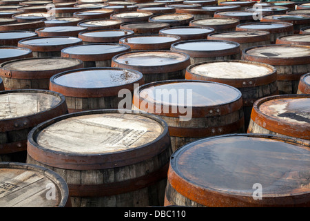 Stapel von Whisky-Fässern im Glenglassaugh Malt Scotch Whisky Distillery Visitor Centre, Banffshire, Speyside Region in Nordostschottland, Großbritannien Stockfoto