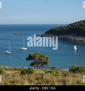 Blick über Sunj Bucht mit Booten auf der Insel Lopud, Elifati Inseln, die der Dalmatinischen Küste, Kroatien Stockfoto