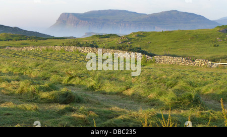 Ein Blick über ein Feld neu gemähtem Heu aus Tiraghoil mit Blick auf den Berg Bearraich auf der Isle of Mull, Schottland Stockfoto