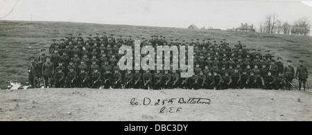 Firma D 25. Bataillon Canadian Expeditionary Force (HS85-10-29979) Stockfoto