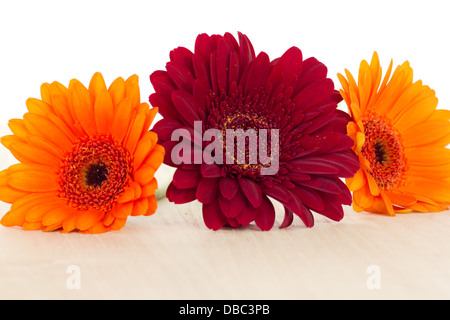 Drei farbenfrohe Gerbera auf hölzernen Hintergrund Stockfoto