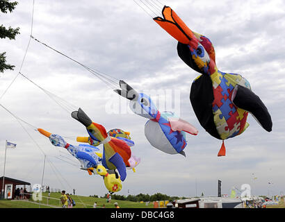 Drachen aller Varianten sind sichtbar oberhalb des Strandes in Schillig, Deutschland, 28. Juli 2013. Das Drachenfest am Jadebusen zieht Nuserous Kiten Organisationen und Besucher in die Nordsee zu kommen. Foto: INGO WAGNER Stockfoto