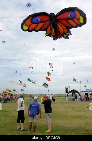 Drachen aller Varianten sind sichtbar oberhalb des Strandes in Schillig, Deutschland, 28. Juli 2013. Das Drachenfest am Jadebusen zieht Nuserous Kiten Organisationen und Besucher in die Nordsee zu kommen. Foto: INGO WAGNER Stockfoto