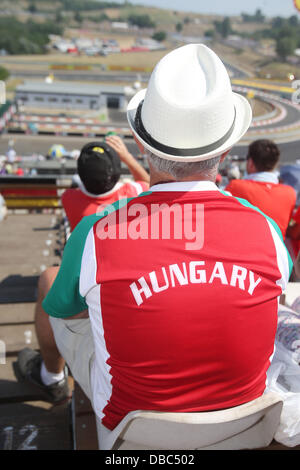Budapest, Ungarn. 28. Juli 2013. Motorsport: FIA Formula One World Championship 2013, Grand Prix von Ungarn, fans Credit: Dpa picture-Alliance/Alamy Live News Stockfoto