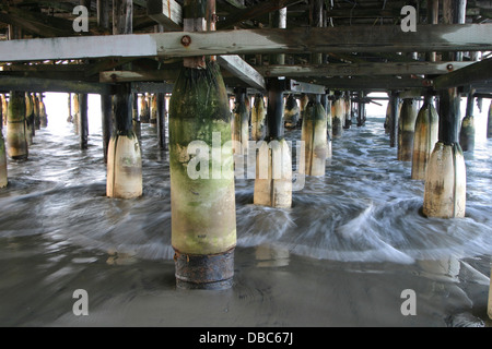 Unter dem Pier, den Pazifischen Ozean in San Diego, Kalifornien, USA Stockfoto