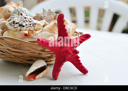 Schöne marine Stillleben mit Körbchen voller Muscheln. Stockfoto