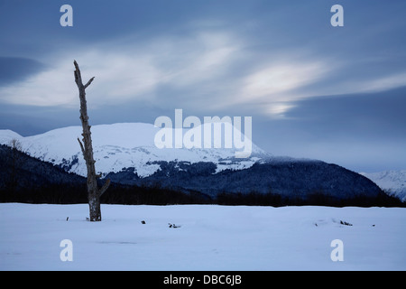 Die eisige Schönheit der Halbinsel Kenai, Alaska, USA Stockfoto