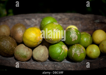 Limetten und Zitronen in einer Holzschale angezeigt in einem Bio-Obst-Markt auf der Insel Aitutaki, Cook-Inseln Stockfoto