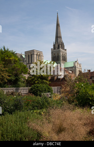 Kathedrale-Kirche der Heiligen Dreifaltigkeit, auch bekannt als Chichester Cathedral aus der Bischofs Palastgärten betrachtet. Stockfoto